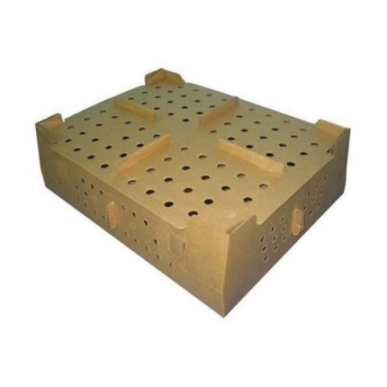 Corrugated Box for 100 Day Old Chicks